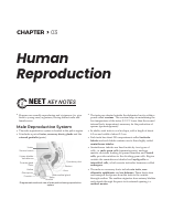 3. Human Reproduction.pdf